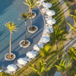 Pool Side loungers under palm trees
