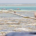 Karafuu Beach Resort Zanzibar