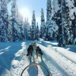 Arctic Circle Tour
