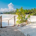 Zanzibar stretched beach
